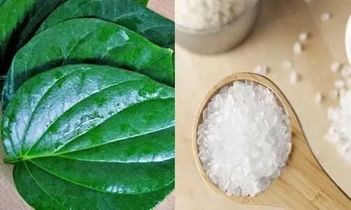 1. Cách Trị Huyết Trắng Bằng Phèn Chua Được Nhiều Chị Em Áp Dụng