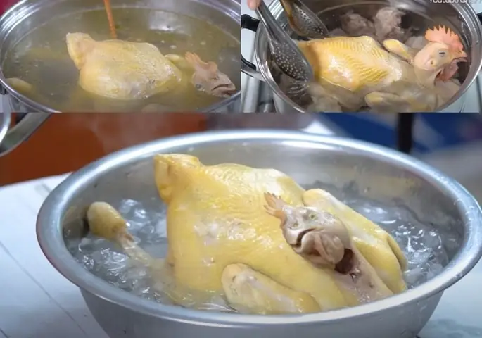 Sơ chế và luộc gà đúng cách