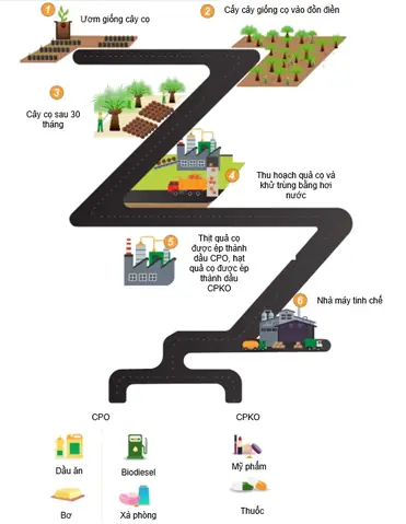 Bước 2: Xử Lý Quả Cọ