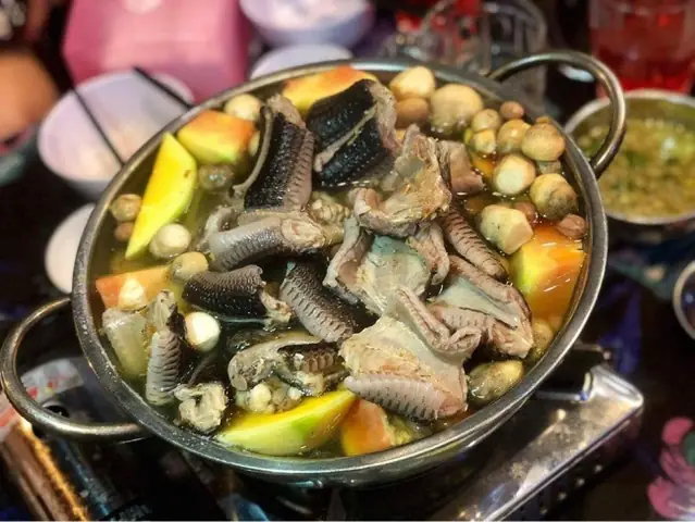 Cách Nấu Rắn Mèo Gà Ngon Đúng Điệu Không Phải Ai Cũng Biết