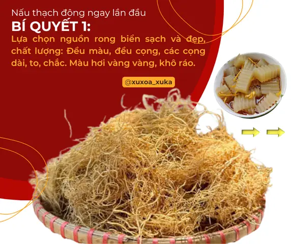 Cách Nấu Thạch Đông Từ Rong Biển