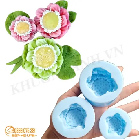 cách nấu rau câu sợi