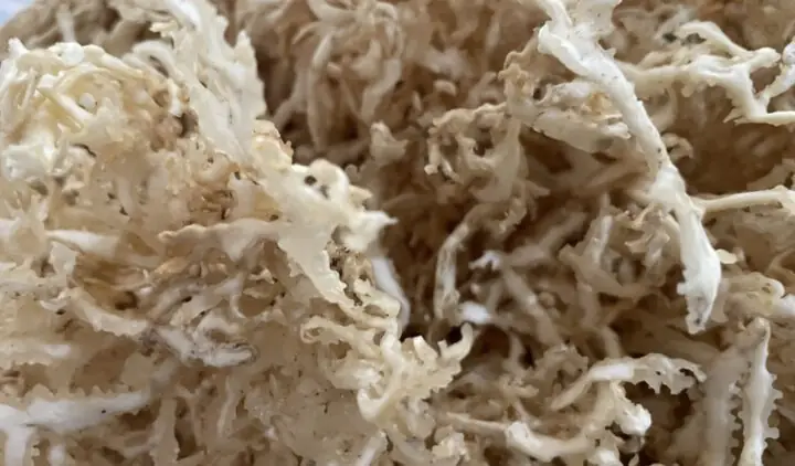 Cách Nấu Rau Câu Sợi Khô Dai Giòn, Không Tách Lớp Tại Nhà