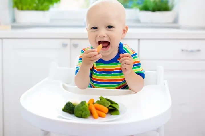 1lợi Ích Khi Cho Trẻ Ăn Dặm Kiểu Nhật