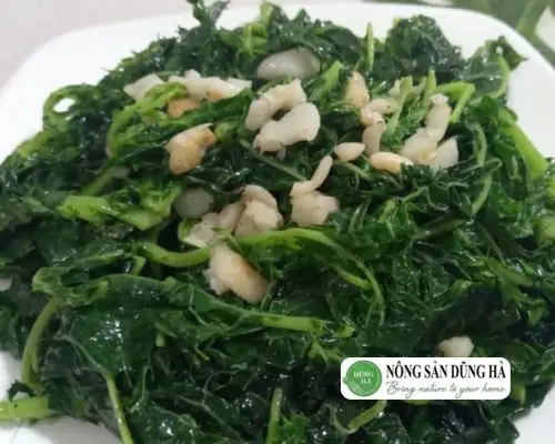 1.4 Rau dớn xào lá đu đủ