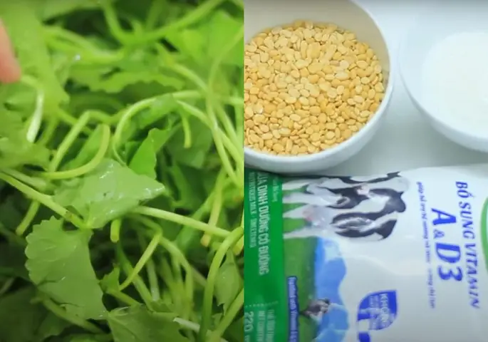 Nguyên Liệu Và Dụng Cụ