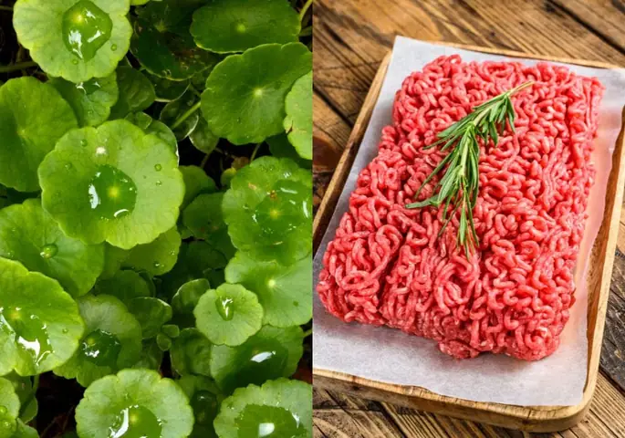 Nguyên Liệu Và Dụng Cụ Cần Có Nguyên Liệu Và Dụng Cụ Cần Có