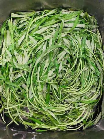 Rau Muống Nhặt Sạch, Rửa Và Ngâm Trong Nước Muối Loãng Khoảng 20 Phút. Nếu Muốn Ăn Rau Giòn Hơn Thì Bỏ Bớt Phần Lá