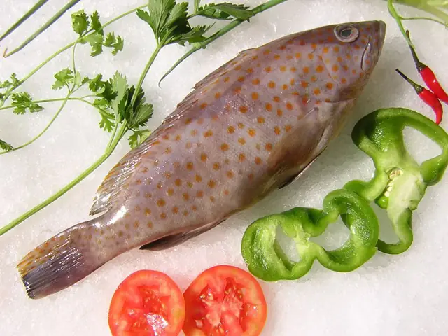 3 món từ cá song biển tuyệt ngon cho ngày se lạnh - Ảnh 1.