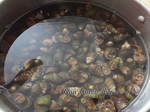 Thưởng Thức Bát Bún Ốc Nóng Hổi, Giòn Ngon, Có Vị Chua Thanh Nhẹ Vào Bữa Sáng Thật Thích Thú.