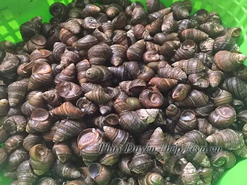 Thưởng Thức Bát Bún Ốc Nóng Hổi, Giòn Ngon, Có Vị Chua Thanh Nhẹ Vào Bữa Sáng Thật Thích Thú.