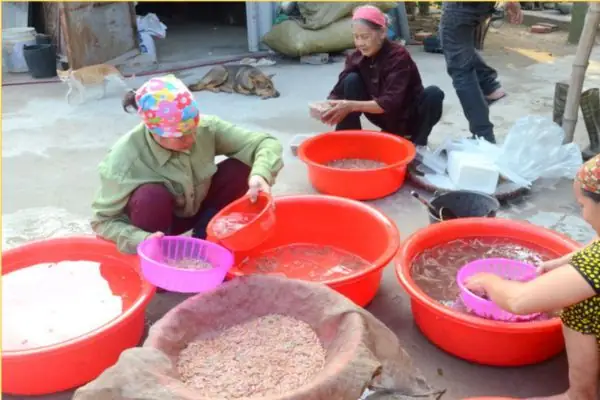 Cách Sơ Chế Rươi Đúng Cách