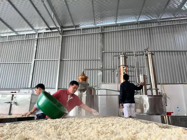 CÁCH NẤU RƯỢU MÙA HÈ KHÔNG BỊ CHUA VÀ HƯỚNG XỬ LÝ