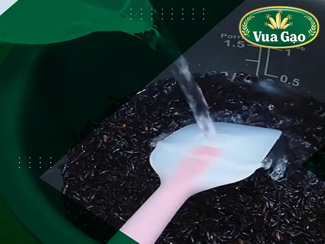 Bước 1: Sơ Chế Nguyên Liệu Và Nấu Cơm