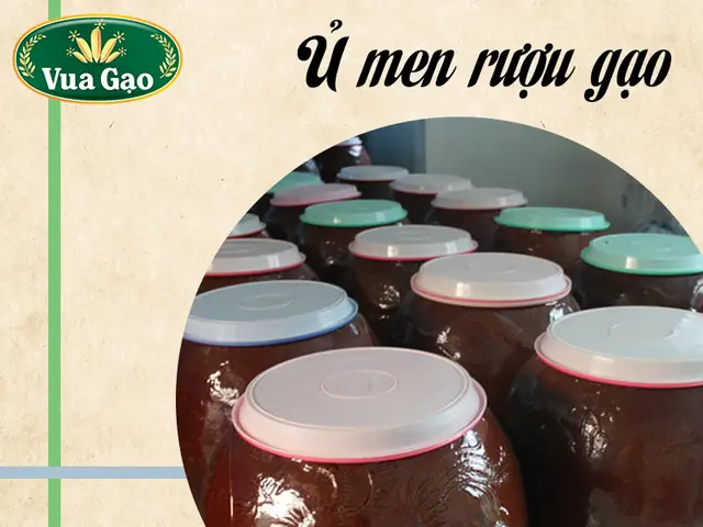 Bước 2: Cách Ủ Men Rượu Gạo