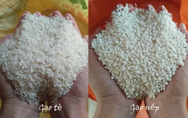 Giai Đoạn 1: Chọn Nguyên Liệu