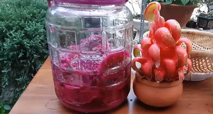 Bước 3: Lên Men Trái Cây