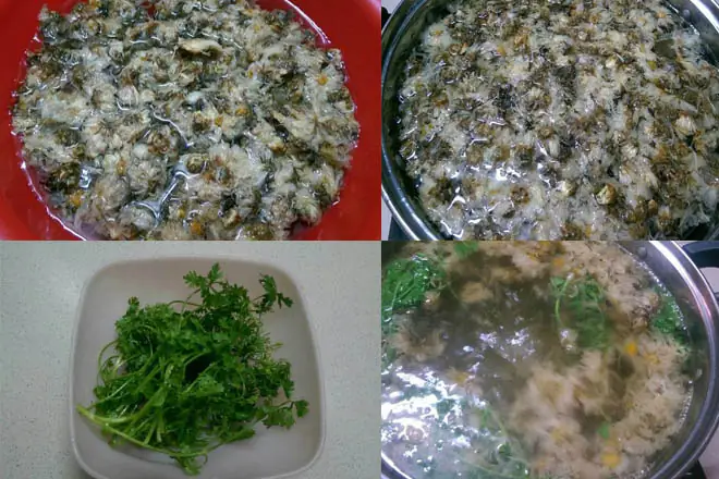 Cách Nấu Nước Sâm Bông Cúc Với Ngò Rí, La Hán Quả, Râu Ngô Và Mã Đề