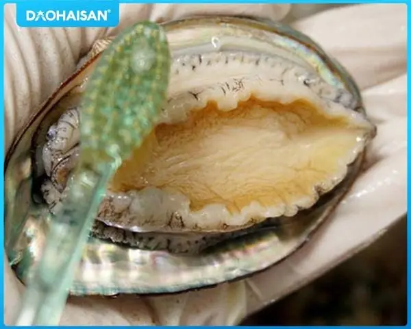 Bước 1: Làm sạch và sơ chế bào ngư