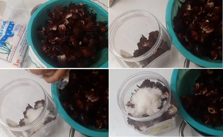 Cách ngâm siro hoa Atiso đỏ