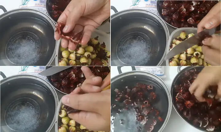 Cách ngâm siro hoa Atiso đỏ