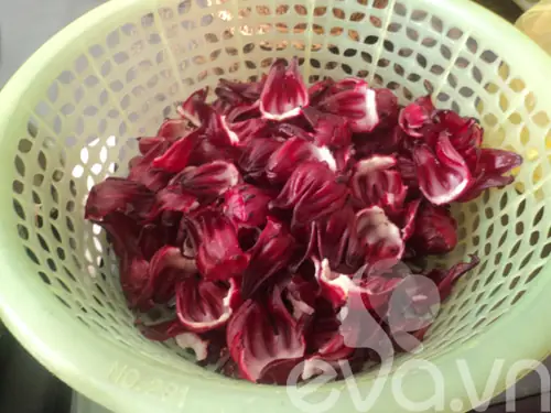 Hoa Bụp Giấm Không Chỉ Có Tác Dụng Làm Mát Gan, Giải Độc Mà Còn Có Tính Kháng Sinh, Trị Ho, Viêm Họng... Vì Thế Chị Em Hãy Làm Siro Từ Thứ Hoa Này Cho Cả Nhà Sử Dụng Nhé! Hoa Bụp Giấm Không Chỉ Có Tác Dụng Làm Mát Gan, Giải Độc Mà Còn Có Tính Kháng Sinh, Trị Ho, Viêm Họng... Vì Thế Chị Em Hãy Làm Siro Từ Thứ Hoa Này Cho Cả Nhà Sử Dụng Nhé!