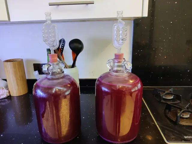 R/winemaking - Công Thức Rượu Củ Dền R/winemaking - Công Thức Rượu Củ Dền