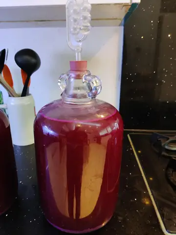 R/winemaking - Công Thức Rượu Củ Dền R/winemaking - Công Thức Rượu Củ Dền