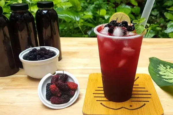 Cách Pha Siro Dâu Tằm Cách Pha Siro Dâu Tằm