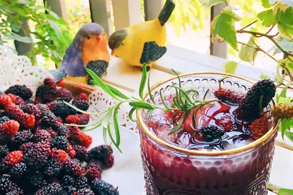 Cách Làm Siro Dâu Tằm