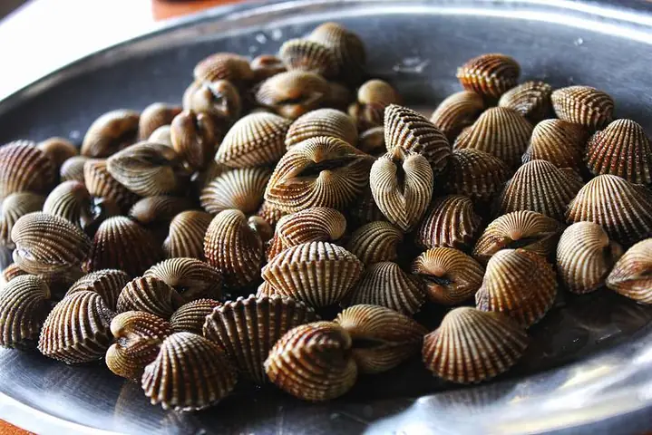 cách nấu so huyet chay toi