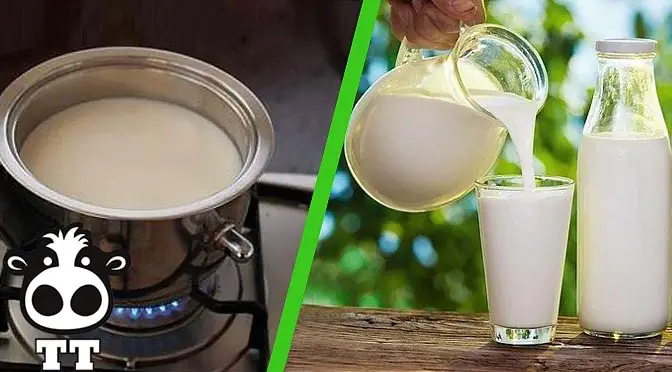 cách nấu sữa bò tươi thơm ngon