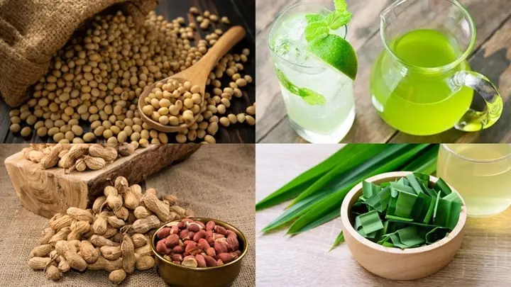 Siro Bạc Hà Mua Ở Đâu?