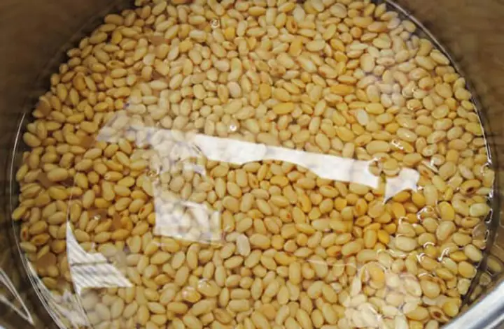 Bước 1: Công Đoạn Sơ Chế Rất Quan Trọng: