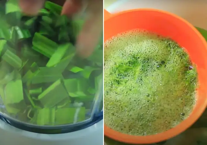 Lọc nước lá dứa