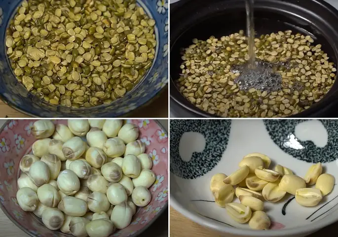 Ngâm đậu xanh và hạt sen Ngâm đậu xanh và hạt sen