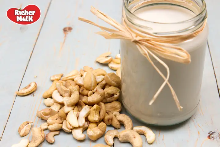 Lợi Ích Nấu Sữa Hạt Điều Bằng Máy Làm Sữa Hạt