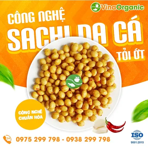 Hướng Dẫn Chi Tiết Cách Nấu Sữa Hạt Sachi Đơn Giản Tại Nhà