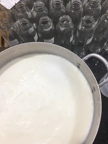 Cách Nấu Sữa Bò Tươi Mới Vắt – Có Lớp Váng Tự Nhiên Trên Bề Mặt