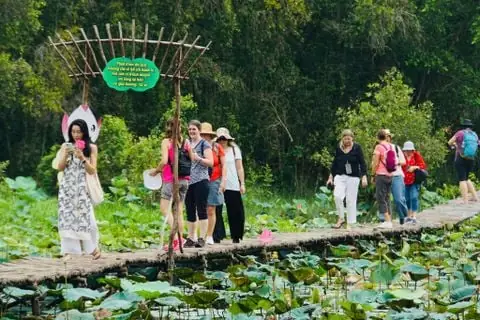 🌿 Ecolotus Lotus Leaf Paper - Nature's Beauty in Every Sheet! 🎁