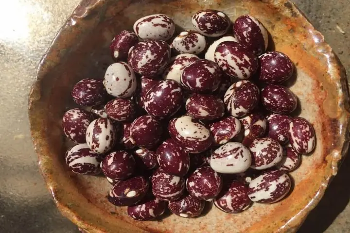 Sườn Non Chay Nấu Đậu Ngự Sườn Non Chay Nấu Đậu Ngự