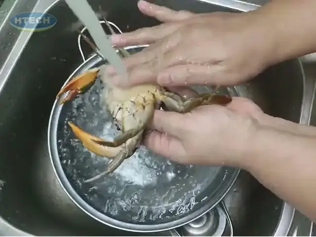 Sơ Chế Cua Sạch 100% Mùi Tanh Sơ Chế Cua Sạch 100% Mùi Tanh