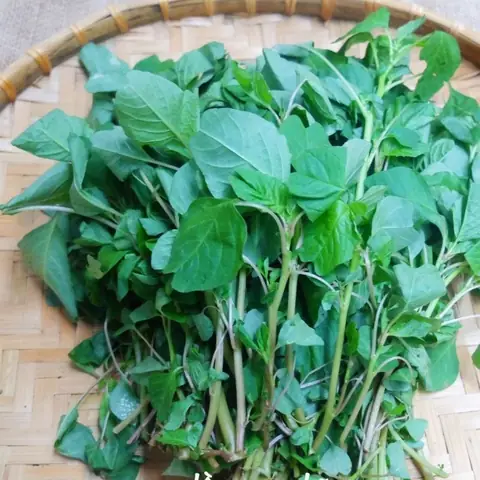 2 Cã¡ch Nấu Canh Rau Dá»n Nấu Tã´m Khã´ Ngon Ngá»t, Thanh Mã¡t Cæ¡ Thá» 2 Cã¡ch Nấu Canh Rau Dá»n Nấu Tã´m Khã´ Ngon Ngá»t, Thanh Mã¡t Cæ¡ Thá»