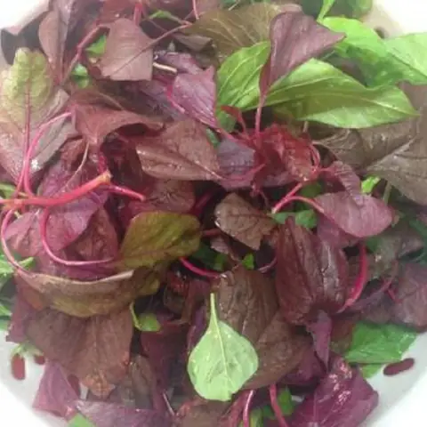 2 Cã¡ch Nấu Canh Rau Dá»n Nấu Tã´m Khã´ Ngon Ngá»t, Thanh Mã¡t Cæ¡ Thá» 2 Cã¡ch Nấu Canh Rau Dá»n Nấu Tã´m Khã´ Ngon Ngá»t, Thanh Mã¡t Cæ¡ Thá»