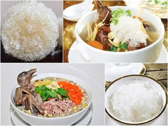 Chế biến súp tổ yến hầm bồ câu non ngon lành bổ dưỡng Chế biến súp tổ yến hầm bồ câu non ngon lành bổ dưỡng