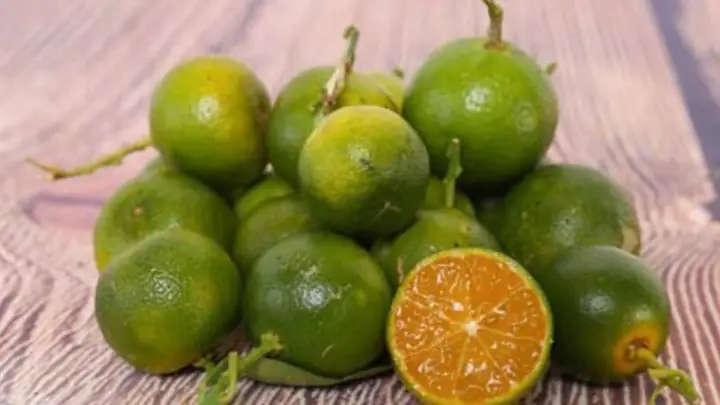 1Tắc là gì? Thành phần dinh dưỡng của tắc