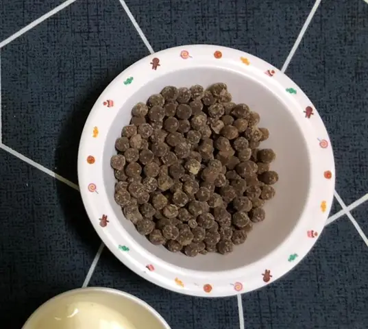 Làm Trân Châu Đường Đen Làm Trân Châu Đường Đen