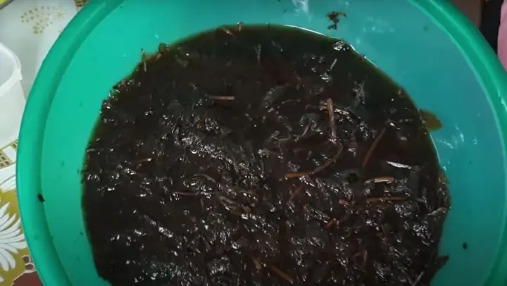 Bước 3: Ninh Cây Thạch Bước 3: Ninh Cây Thạch