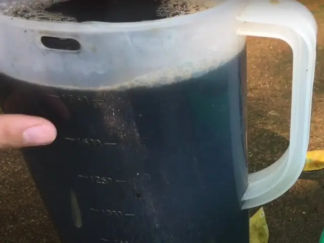 Bước 4: Vắt Và Lọc Nước Thạch Bước 4: Vắt Và Lọc Nước Thạch