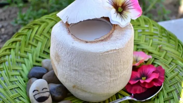 CÃ¡ch náº¥u tháº¡ch dá»«a xiÃªm nguyÃªn trÃ¡i ÄÆ¡n giáº£n, tÆ°Æ¡i mÃ¡t cho ngÃ y hÃ¨